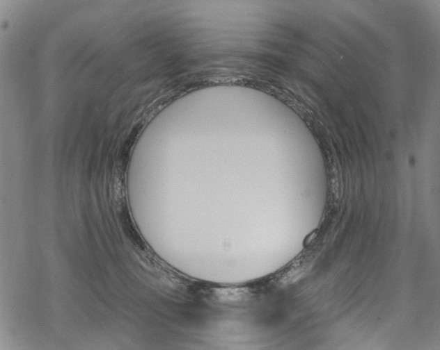 X0000068840371200605050950