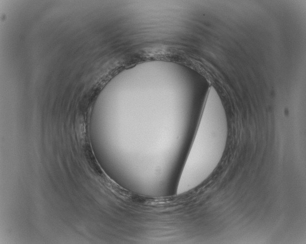 X0000068840372200605050950