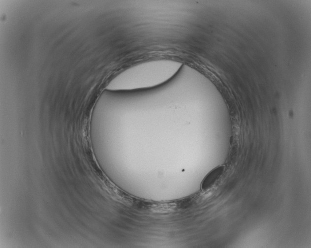 X0000068840373200605050950