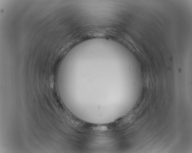 X0000068840374200605050950