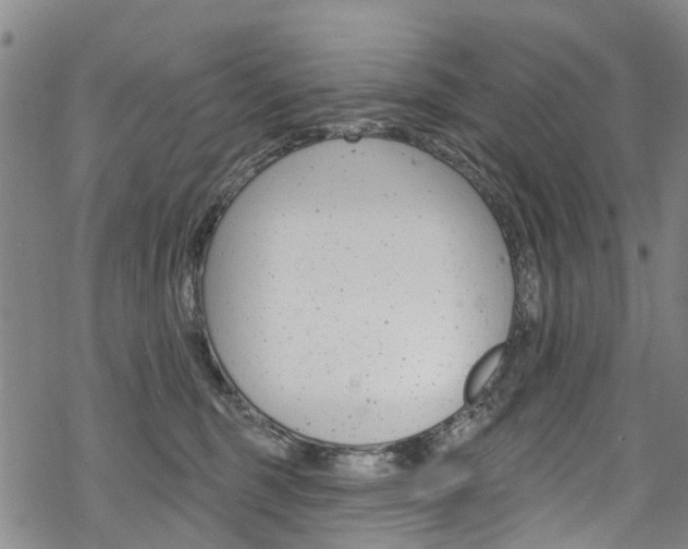 X0000068840375200605050950