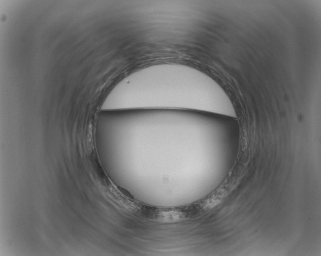 X0000068840376200605050950