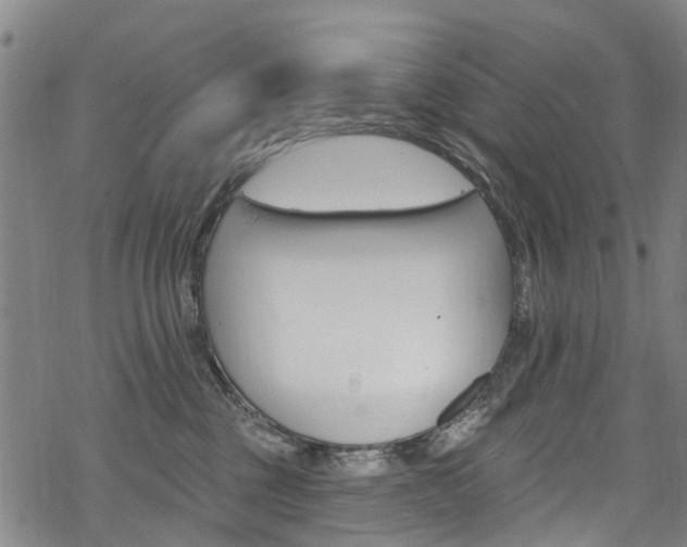 X0000068840377200605050950