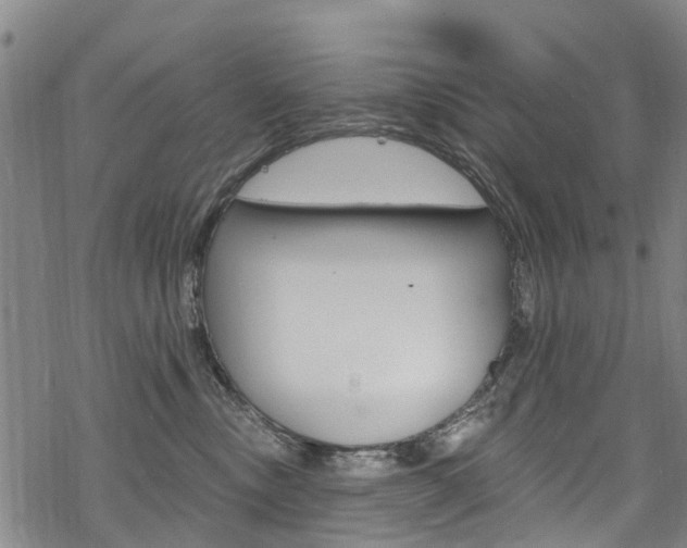 X0000068840378200605050950