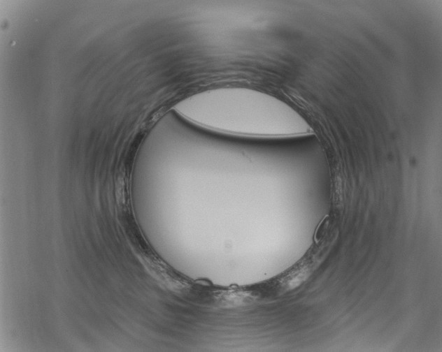 X0000068840379200605050950