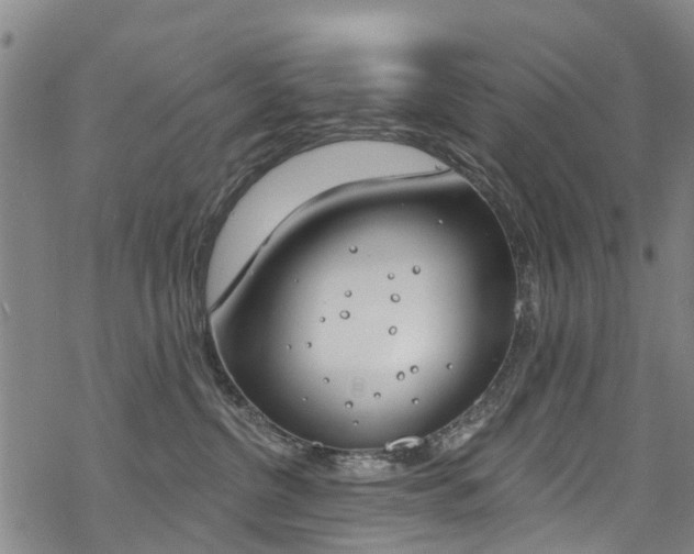 X0000068840380200605050950