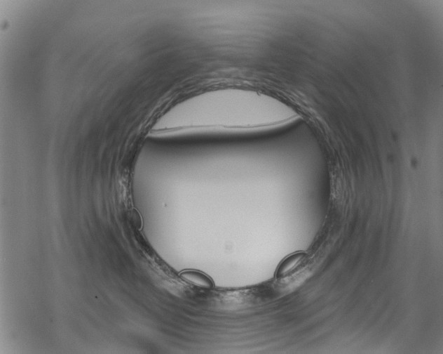 X0000068840382200605050950