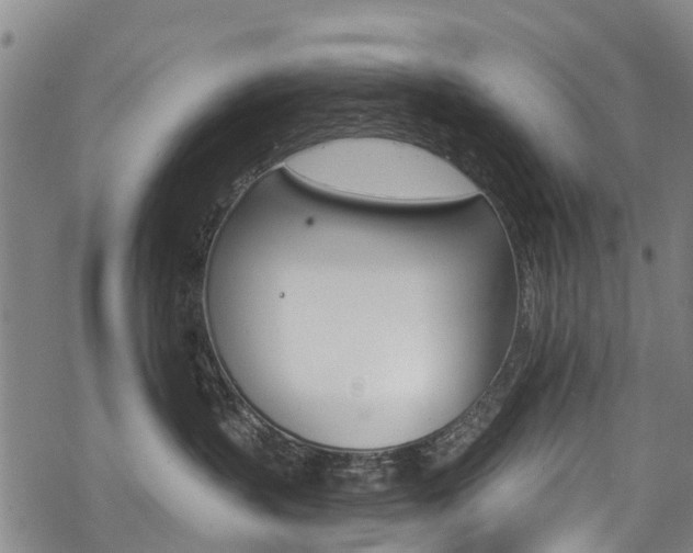 X0000068840383200605050950