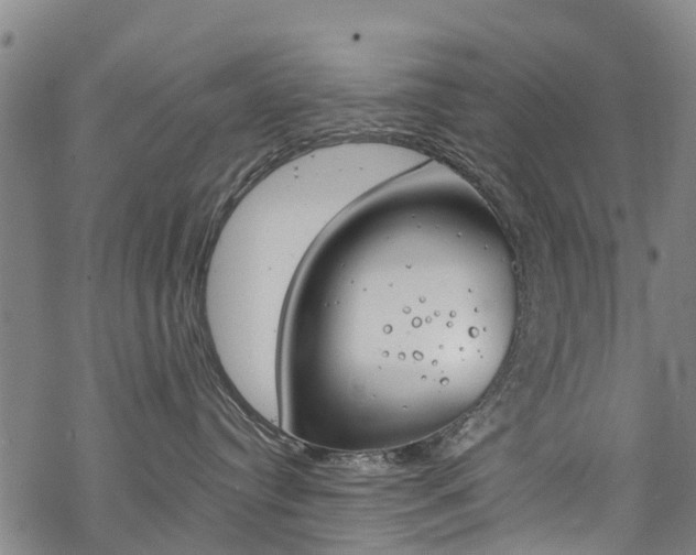 X0000068840384200605050950