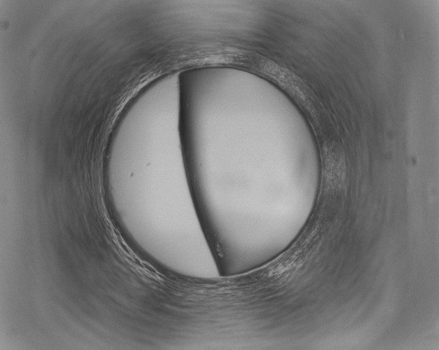 X0000068840386200605050949