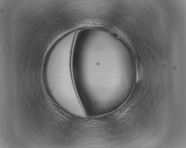 X0000068840387200605050949