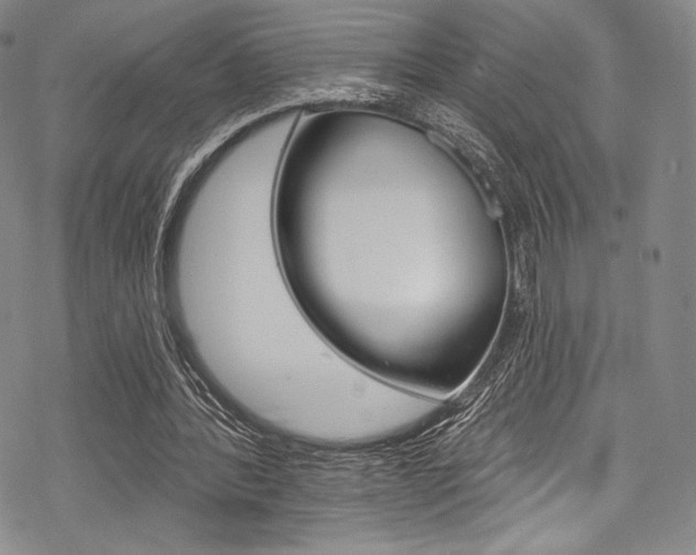 X0000068840388200605050949