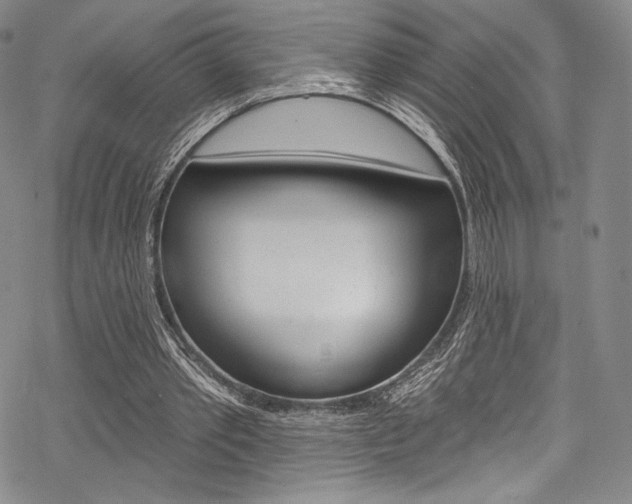 X0000068840389200605050949