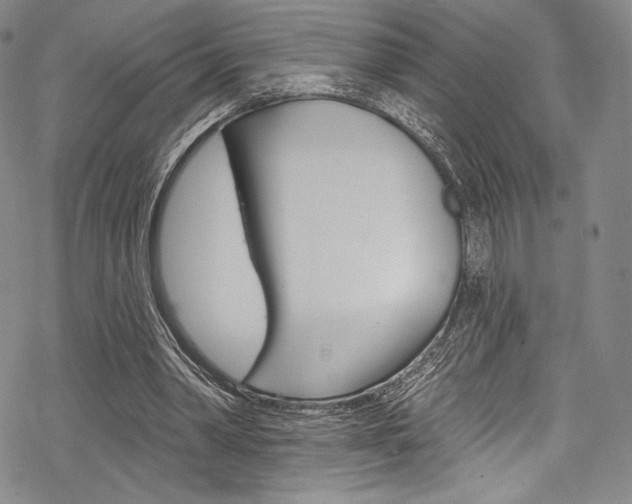 X0000068840390200605050949