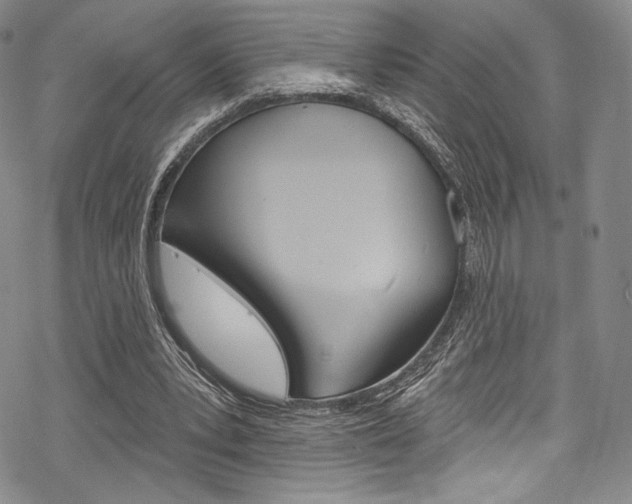 X0000068840391200605050949