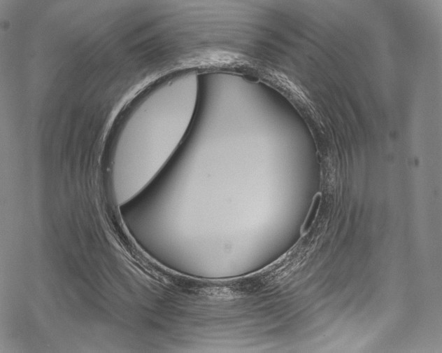 X0000068840392200605050949