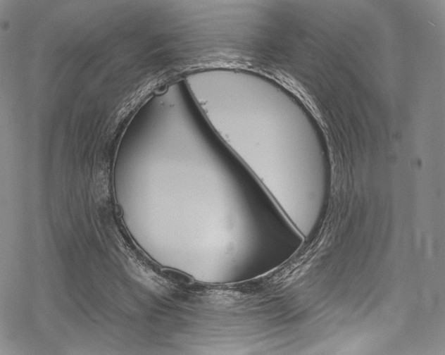 X0000068840393200605050949