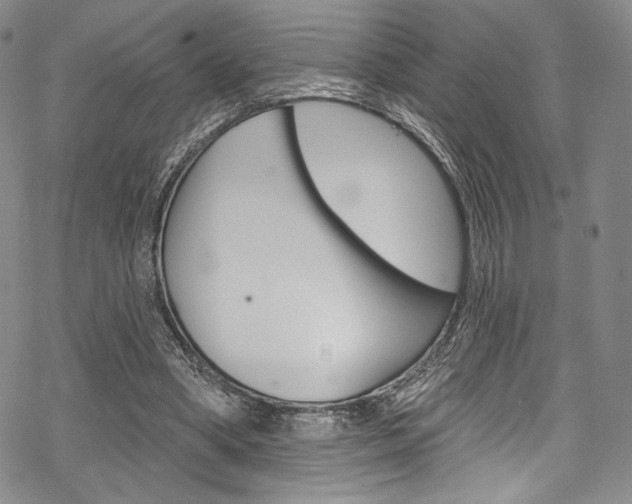 X0000068840394200605050949