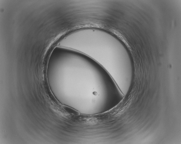 X0000068840395200605050949