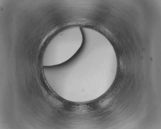 X0000068840396200605050949