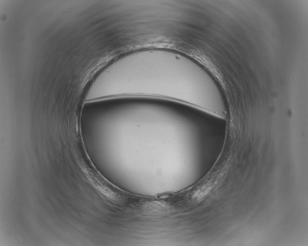 X0000068840397200605050949