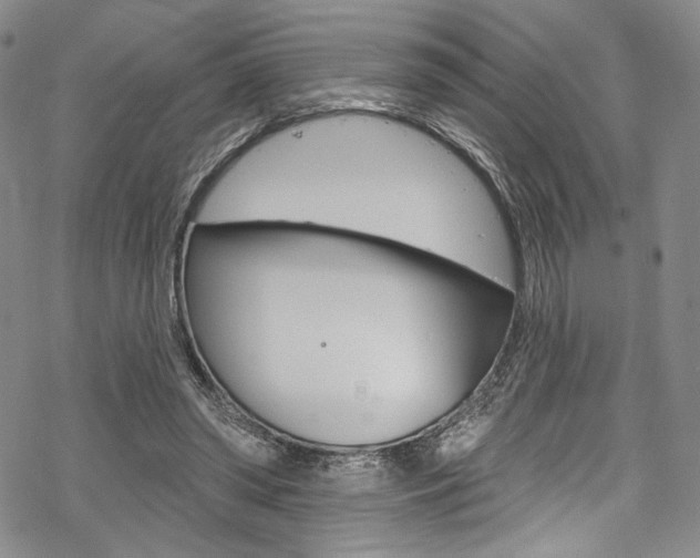 X0000068840398200605050949