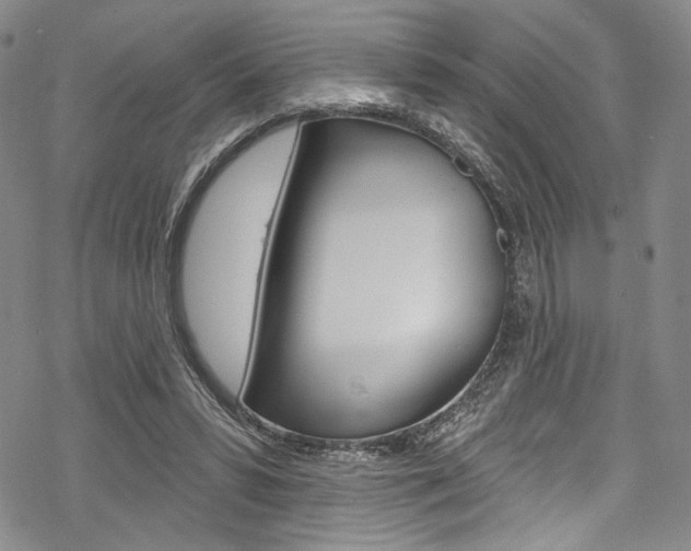 X0000068840399200605050949