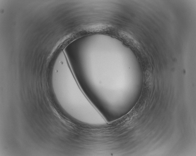 X0000068840400200605050949