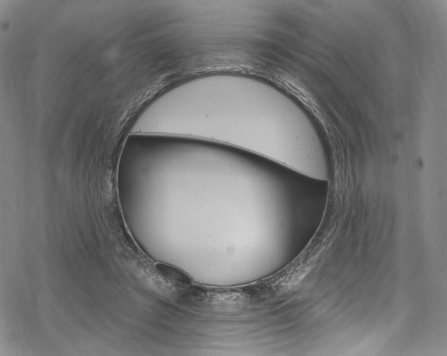 X0000068840401200605050949