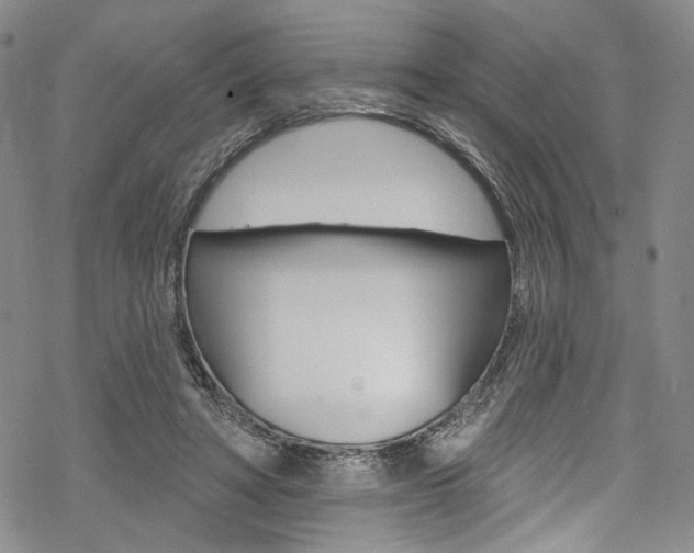 X0000068840402200605050949