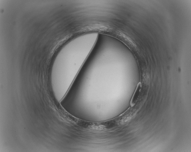 X0000068840403200605050949