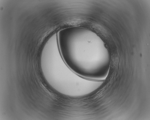 X0000068840404200605050949