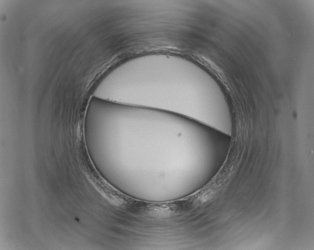 X0000068840405200605050949