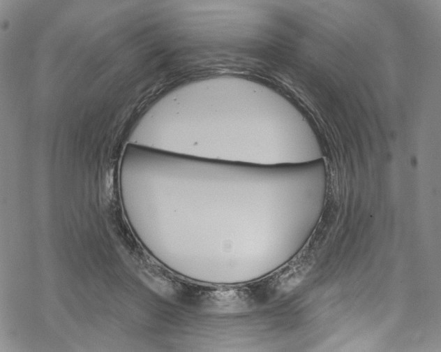 X0000068840406200605050949