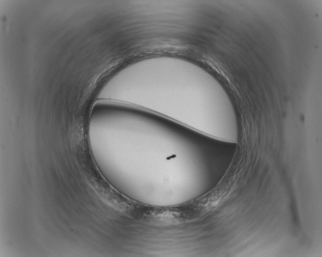 X0000068840407200605050949