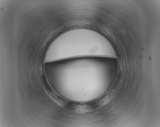 X0000068840408200605050949