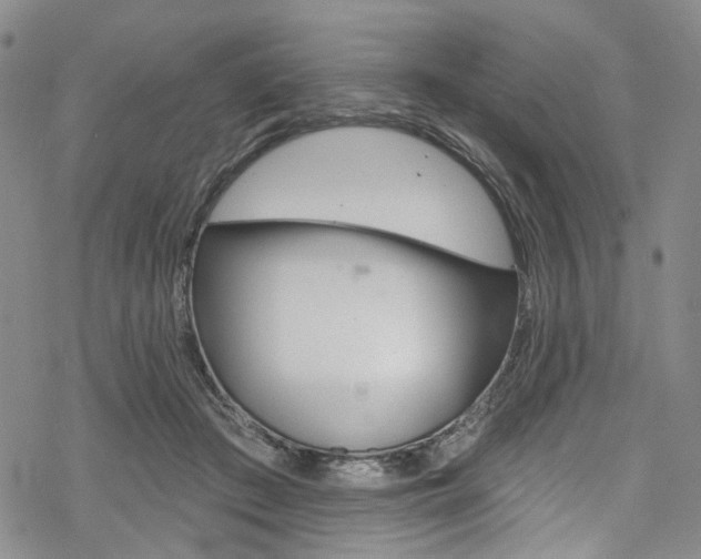 X0000068840409200605050949