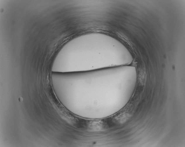 X0000068840410200605050949