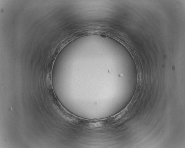 X0000068840411200605050949