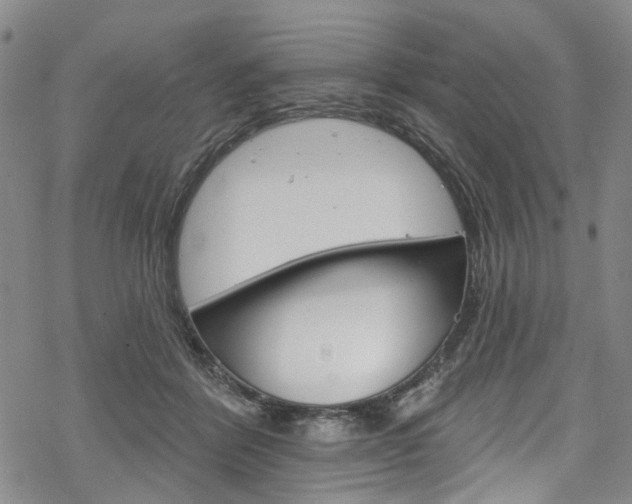 X0000068840412200605050948