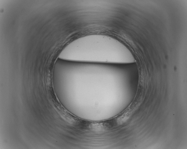 X0000068840413200605050948