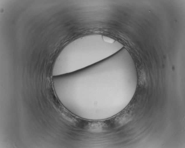 X0000068840414200605050948