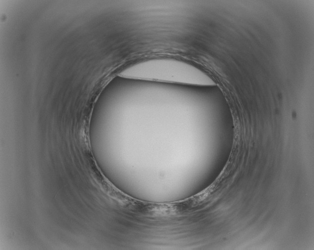 X0000068840415200605050948