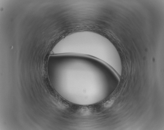 X0000068840416200605050948