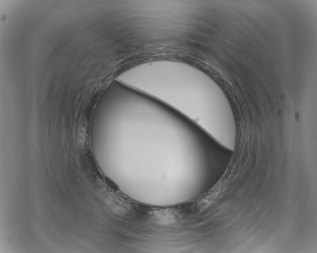 X0000068840417200605050948