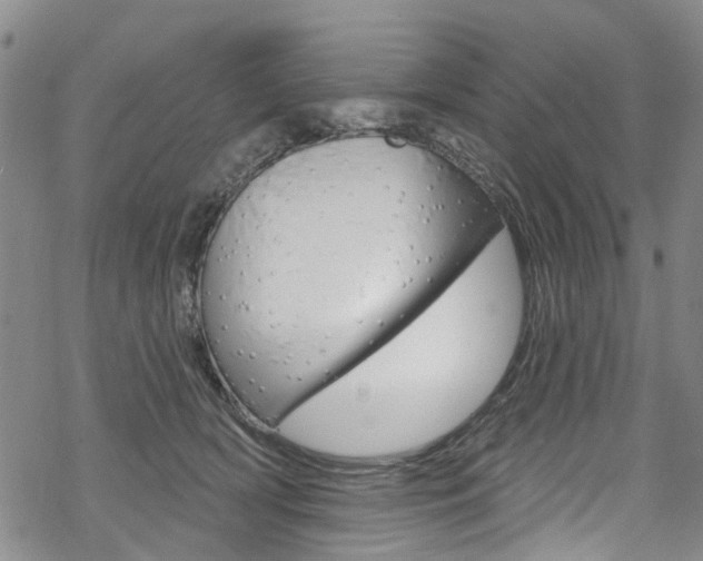 X0000068840418200605050948