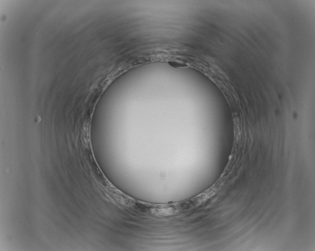 X0000068840419200605050948