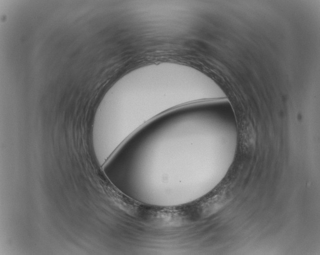 X0000068840420200605050948