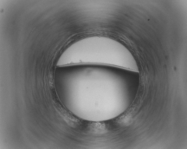 X0000068840421200605050948