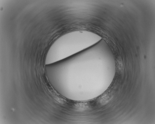 X0000068840422200605050948